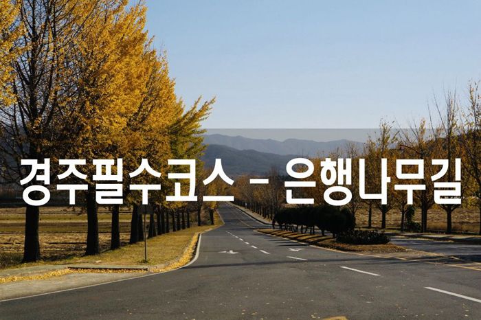 경주여행필수코스, 통일전 은행나무길