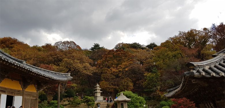가을의 끝자락 영주 부석사 단풍여행 다녀오다