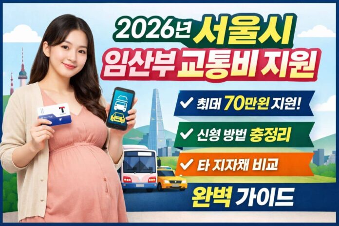 임산부 교통비
